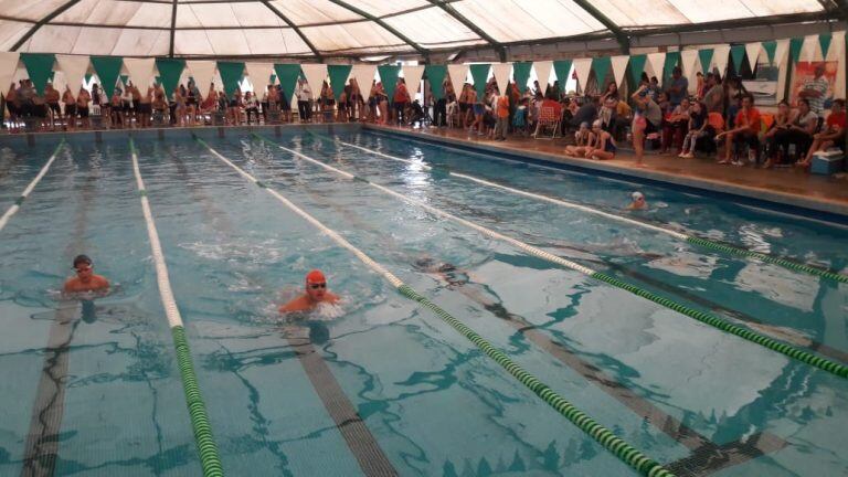 Torneo de Natacion Deportivo Cultural Arroyito torneo Malvinas Argentinas