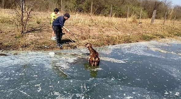 El río que esconde animales muertos, olor fétido y una ruta hundida