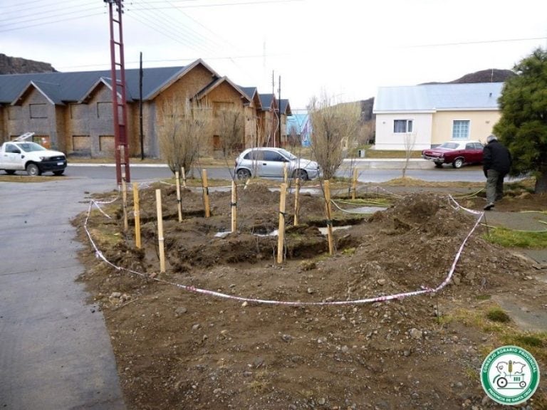 El Chaltén celebra el mes del árbol con forestación nativa.