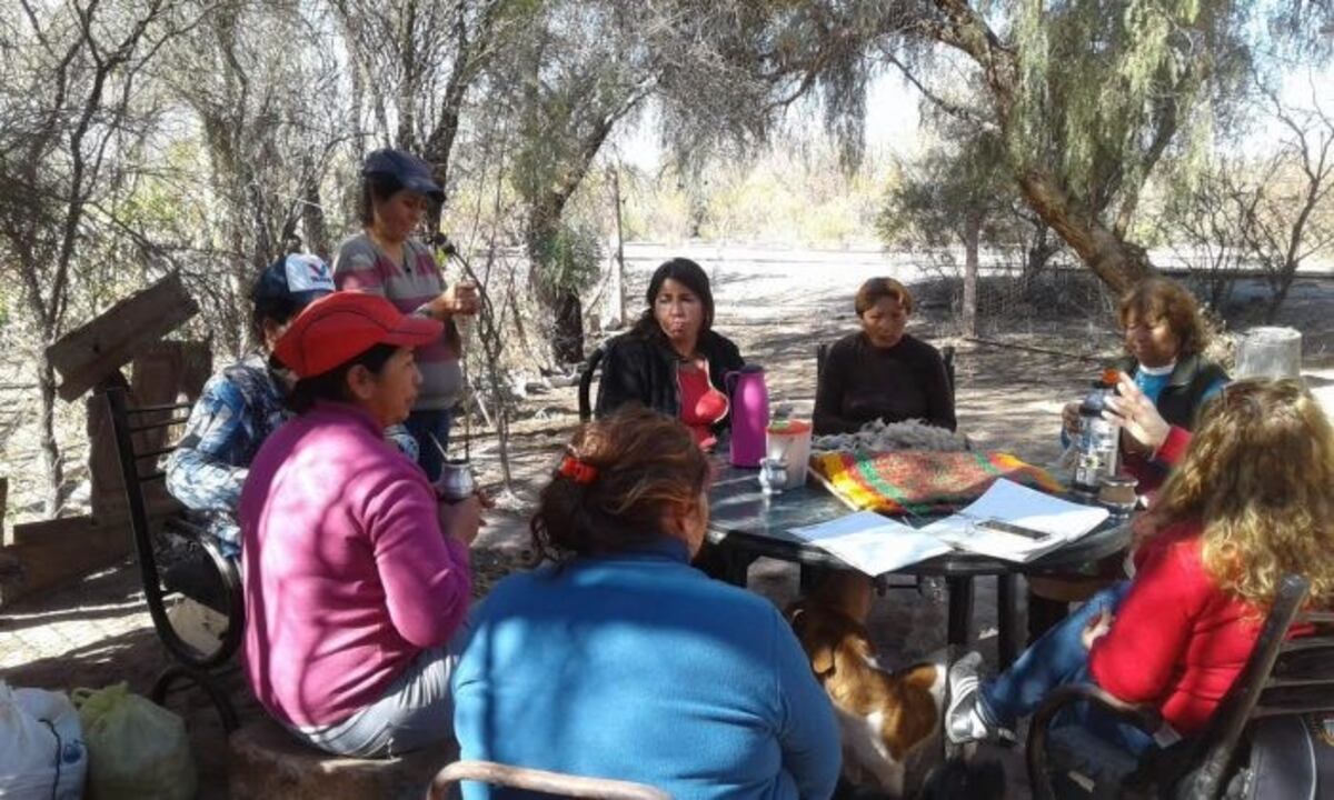 Mujeres del desierto de Lavalle emprenden produciendo lanas artesanales