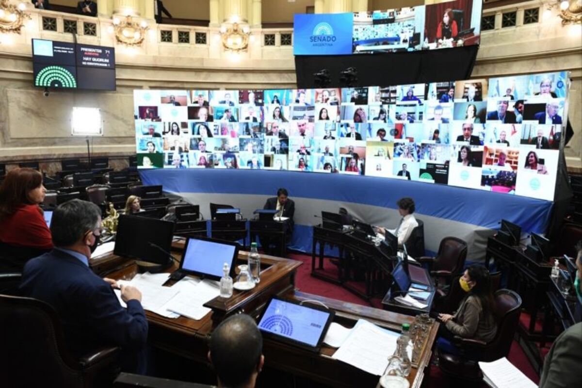Coronavirus: el Congreso sancionó por primera vez leyes a distancia