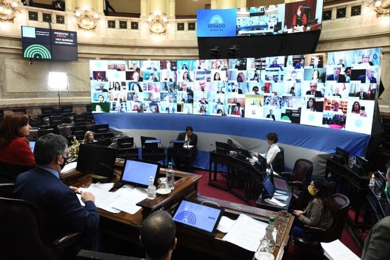 (Fotos: Prensa Senado)