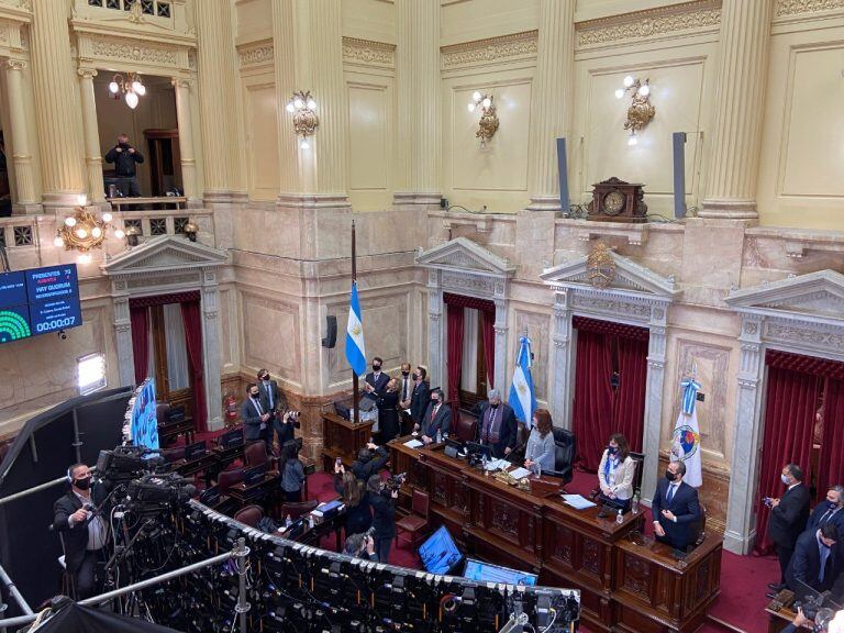 Sesión en el Senado. (Foto: Clarín)