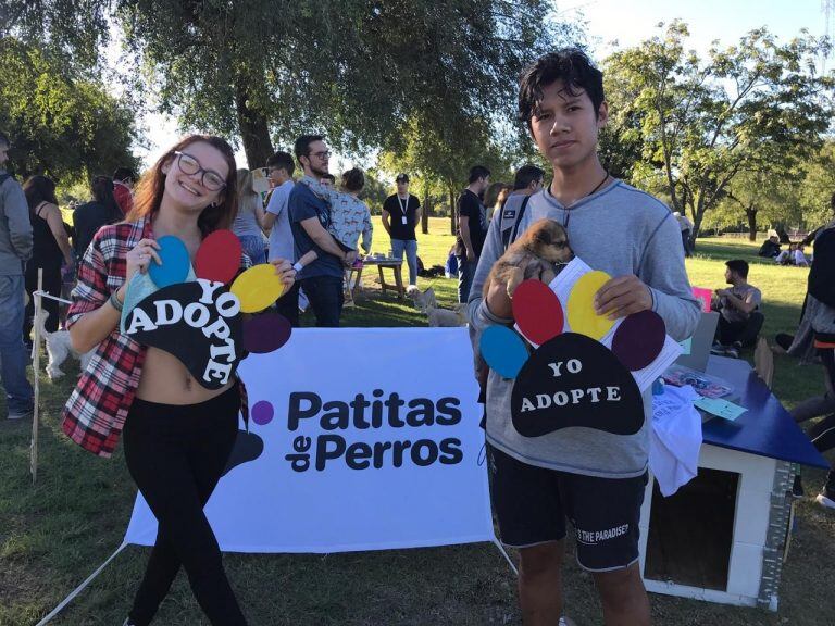 Las castraciones de mascotas, en la visión de Patitas de Perro.