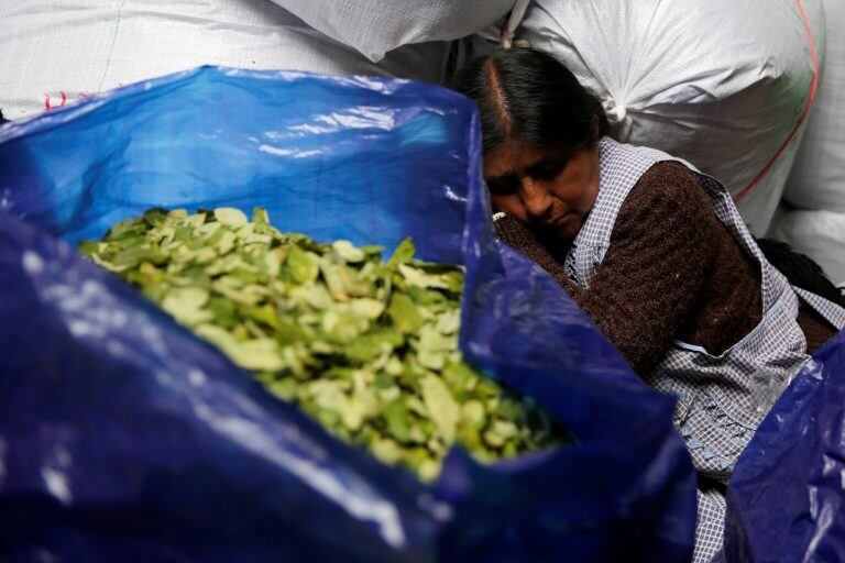 Una vendedora de hoja de coca descansa en el mercado de Villa Fátima, la principal central de abastos de hoja de coca en La Paz, Bolivia. EFE/Rodrigo Sura