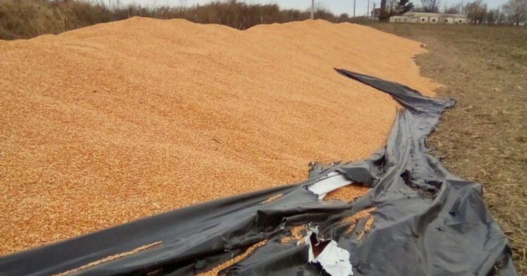 Más ataques al campo, esta vez en San Basilio, sur cordobés