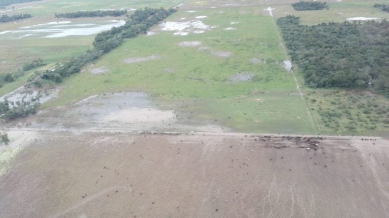 Los campos chaqueños se encuentran muy afectados por las abundantes lluvias. (Prensa Gobierno provincial)