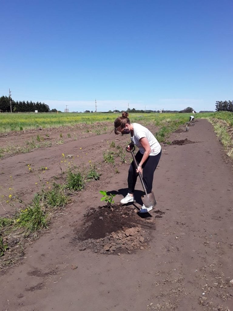 Plantación de Nogales, Grupo Huerta Agroecológica Orense