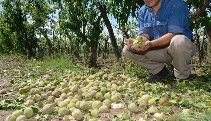 La Dirección de Agricultura y Contingencias Climáticas será la Autoridad de Aplicación, la que una vez producida la contingencia procederá a informar los potenciales daños producidos por contingencias climáticas.