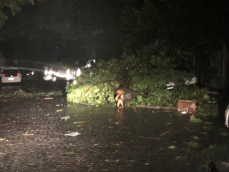 Tormenta en Córdoba dejó destrozos en distintas localidades.