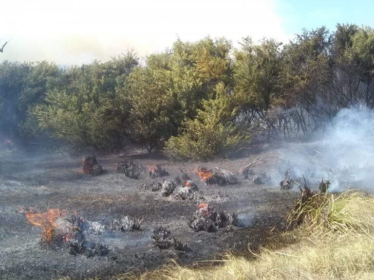 Incendio Claromecó