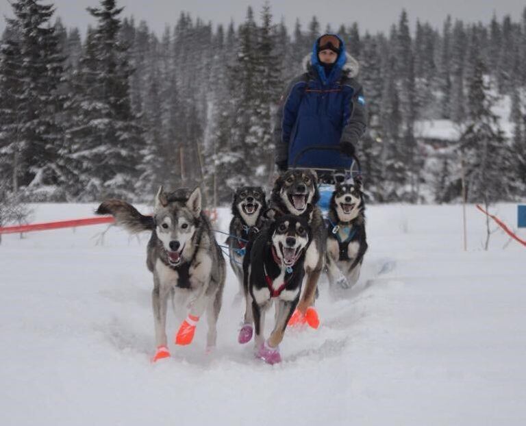 Hernan Maquieira - Musher Argentino