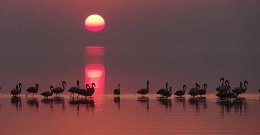 Atardecer en la región de Ansenuza