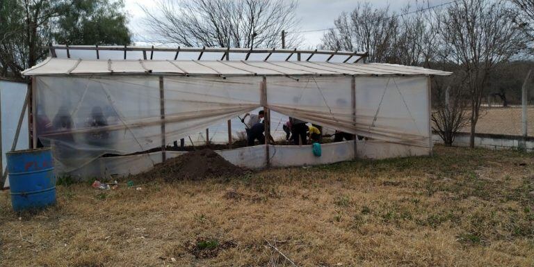 Los alumnos trabajando en la huerta. (Josefina Valls)