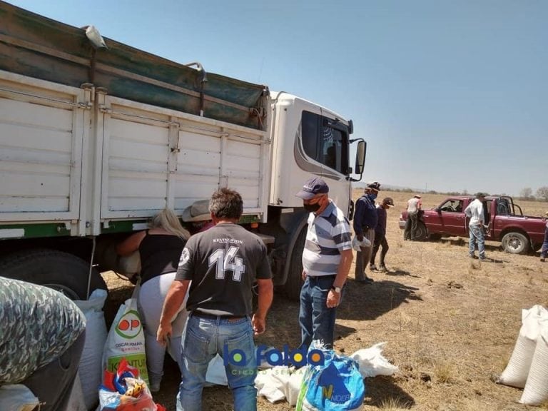 Empleados municipales y colaboradores, se encargaron de su descarga y distribución. (Foto: Municipalidad de La Falda).