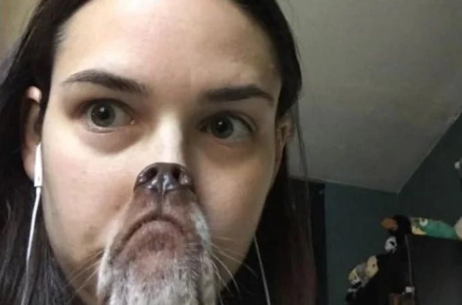 La selfie de una mujer y su perro dividió a los usuarios en las redes (Foto: Reddit/ @shampow20)