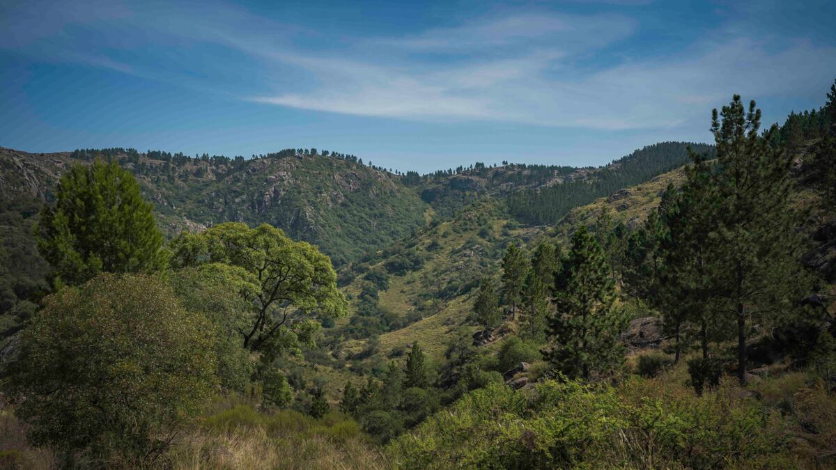 Un sendero de película que esconde paisajes únicos de Córdoba: dónde queda y cómo llegar