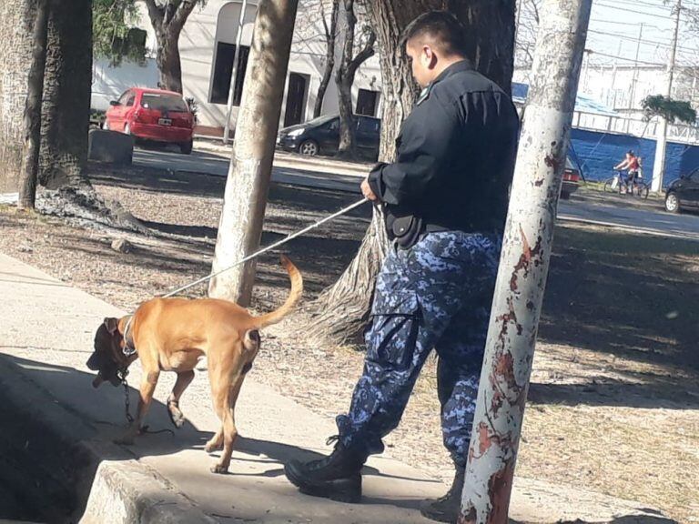 Perro abandonado atado a un juego de plaza fue rescatado