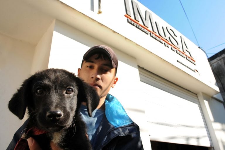 En los últimos años se triplicó el número de adopciones.