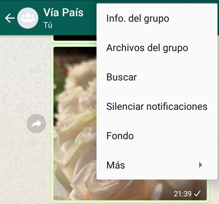 Cómo abandonar un grupo de WhatsApp sin que se den cuenta