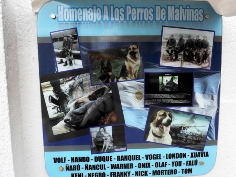 Homenaje a todos los perros de Malvinas