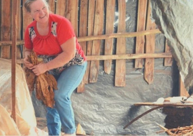 Tabacalera en pleno trabajo en un tinglado de secado de las hojas de tabaco que cultiva en su chacra de Misiones. (APTM página Face)