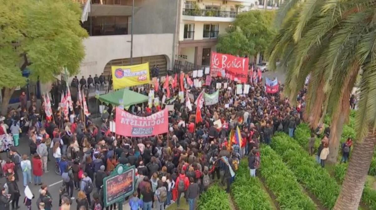 Centenares de personas reclamaron proteger el Amazonas frente a la embajada de Brasil