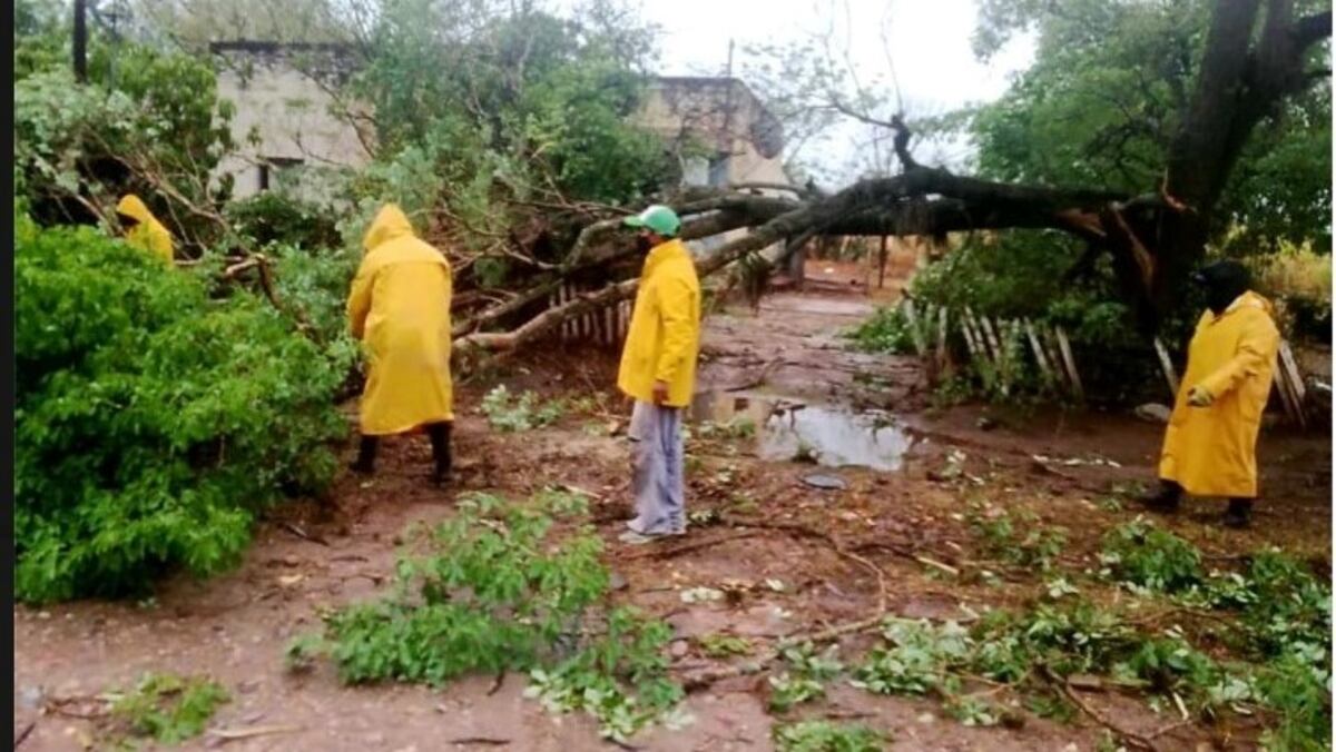 El temporal voló techos y derribó árboles en La Esperanza y Fraile Pintado
