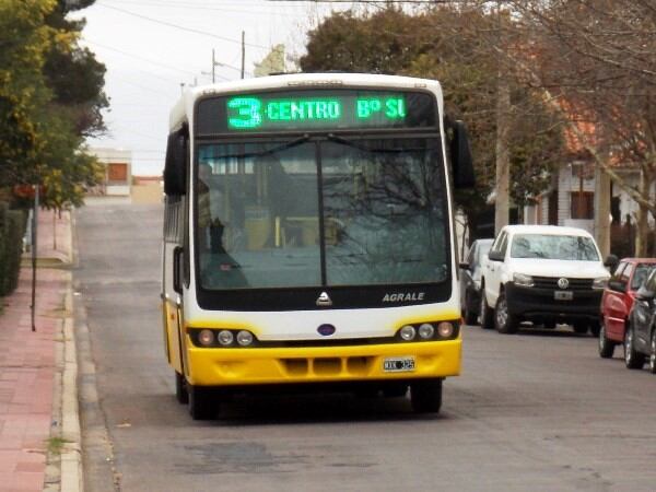 Estatizarán el transporte urbano en Santa Rosa (Diario Textual)