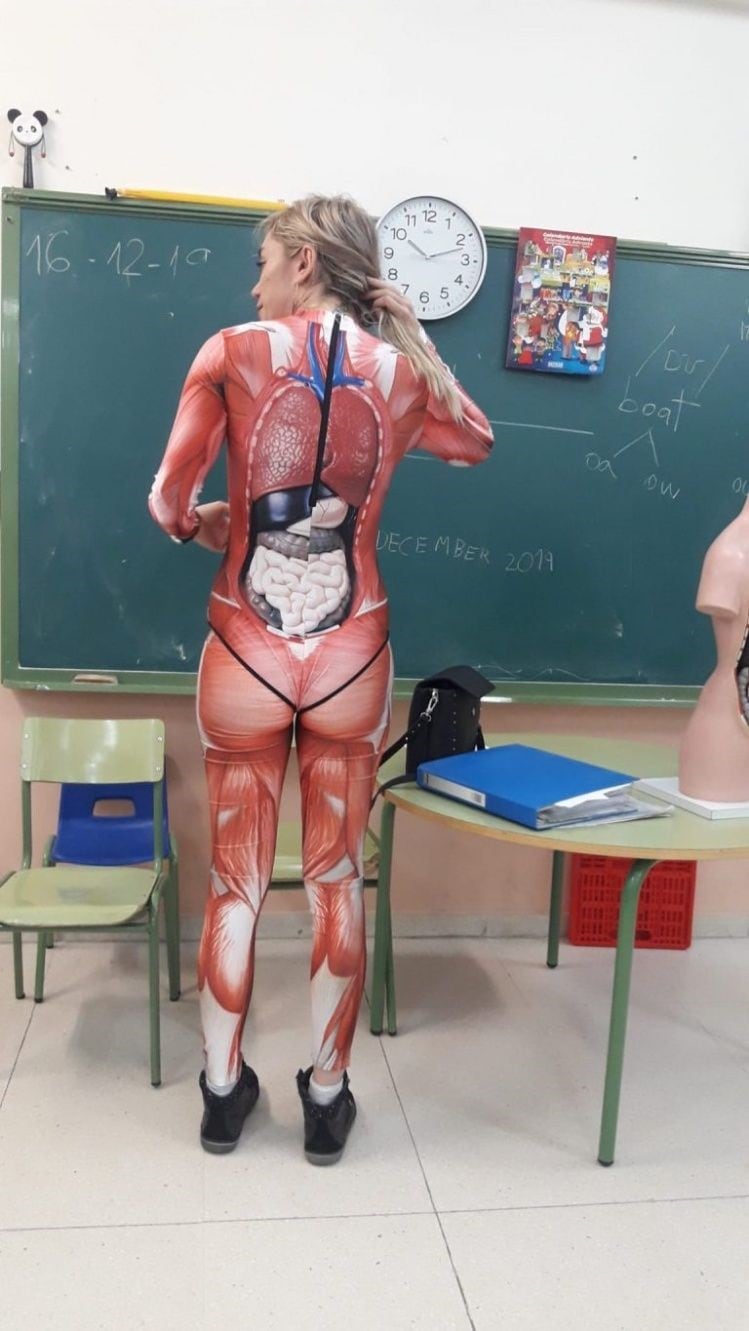 Una profesora utilizó una ingeniosa malla para explicar el cuerpo humano a sus alumnos