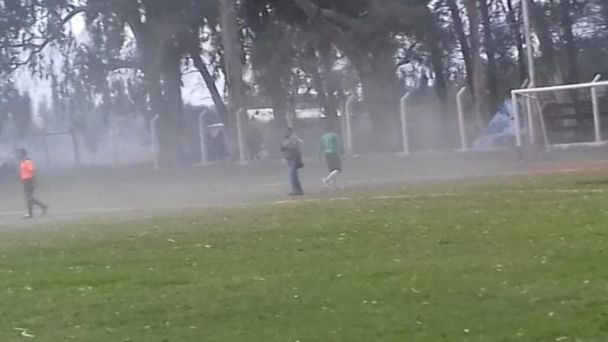 En Villa Unión tuvieron que suspender un partido por "abejas"