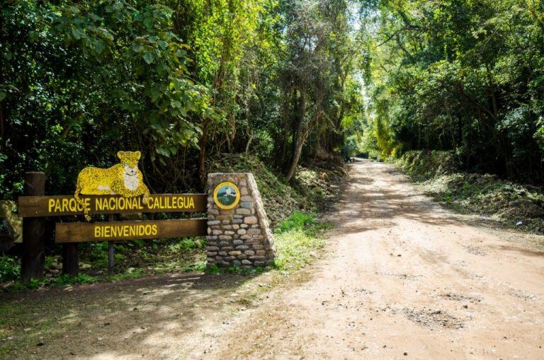 Portal de acceso a una experiencia que también en invierno es interesante.