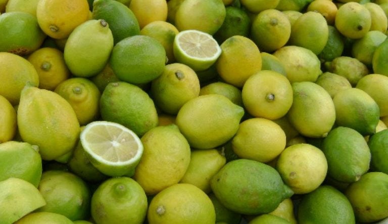 Limones y limas.