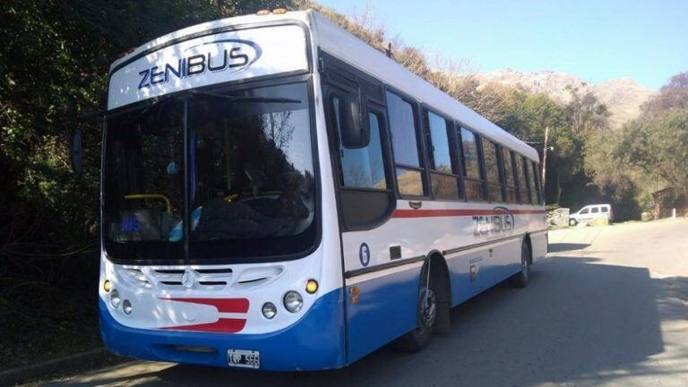 Zenibus.