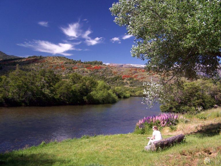 Parque Nacional Lanín (Web)