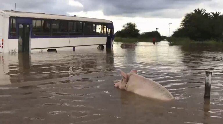 DYN24, TUCUMAN 03/04/17, EL PUEBLO DE LA MADRID, BAJO EL AGUA  POR  DESBORDE DEL RÍO MARAPA.FOTO:DYN/CAPTURA TV LA GACETA