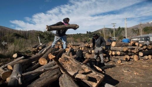 Entrega de leña por parte del Plan Calor (Foto: Prensa de Bariloche).