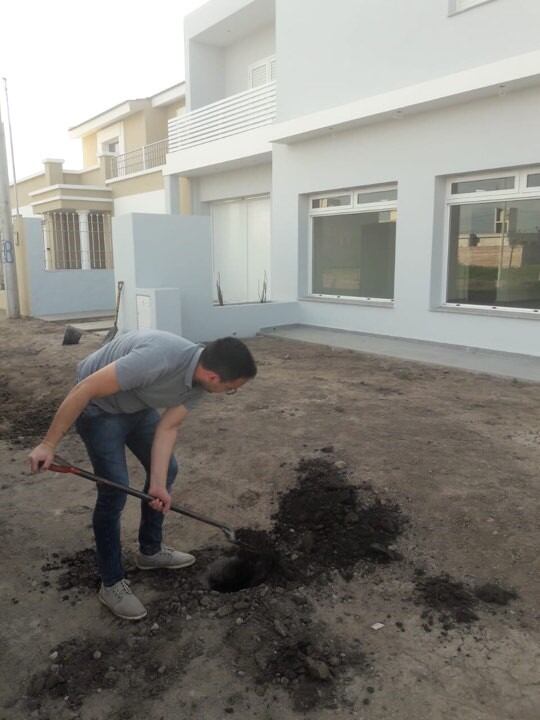 Son los propios profesionales los encargados de realizar la plantación de los árboles elegidos por los propietarios de cada obra terminada