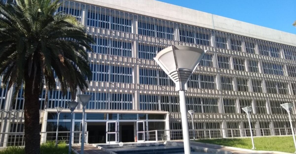 Fallo inédito en Córdoba: Provincia indemnizará al esposo de una médica fallecida por Covid-19
