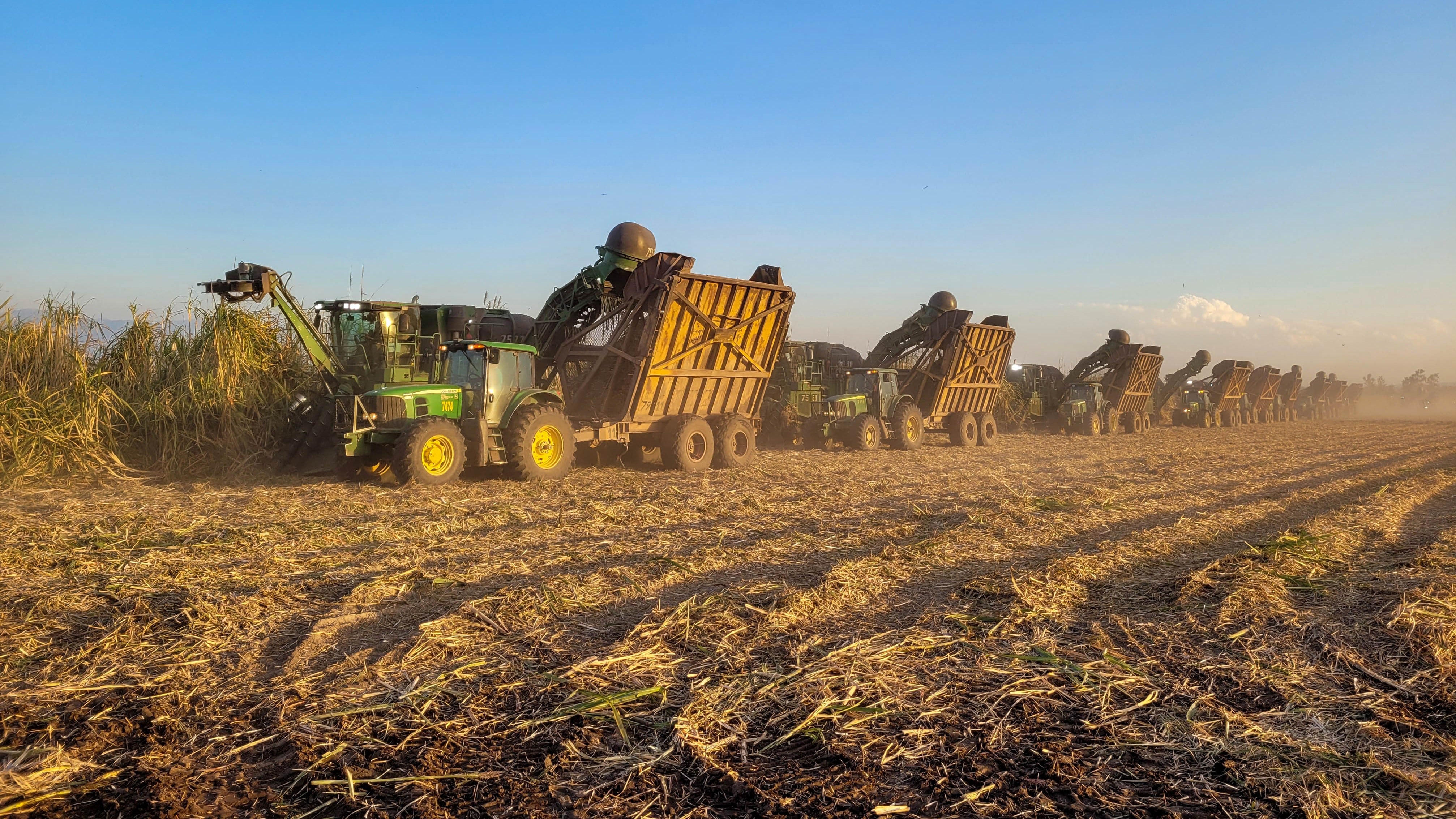 La zafra 2022 de Ledesma culminó con una producción de 293 mil toneladas de azúcar físico, informó la compañía.