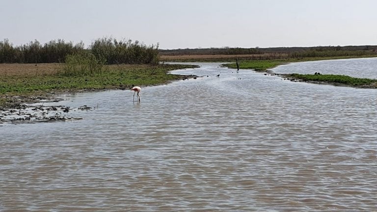 Río Dulce - La Rinconada. (Vía Ansenuza)