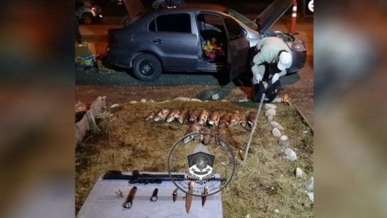 Hallaron 14 truchas por pesca furtiva en Neuquén (Policía del Neuquén).