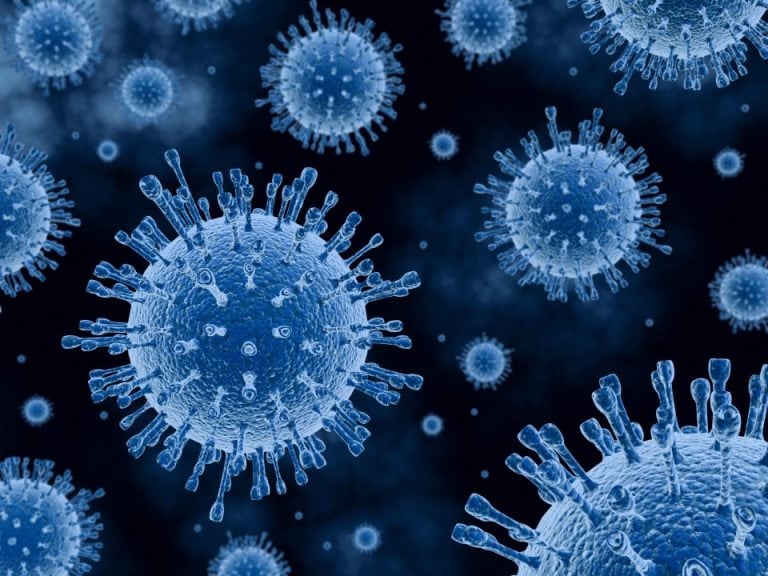 Alarma mundial por un virus que transmiten los perros y podría causar una pandemia mundial