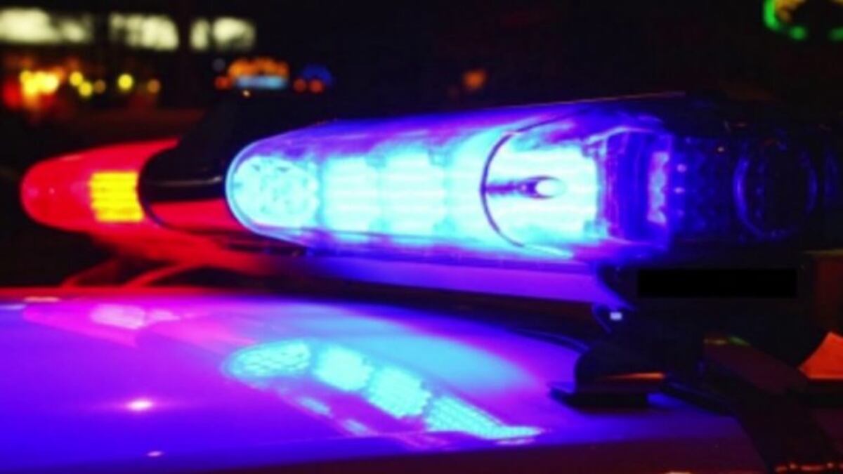 Arrebató un celular e intentó huir pero fue detenido