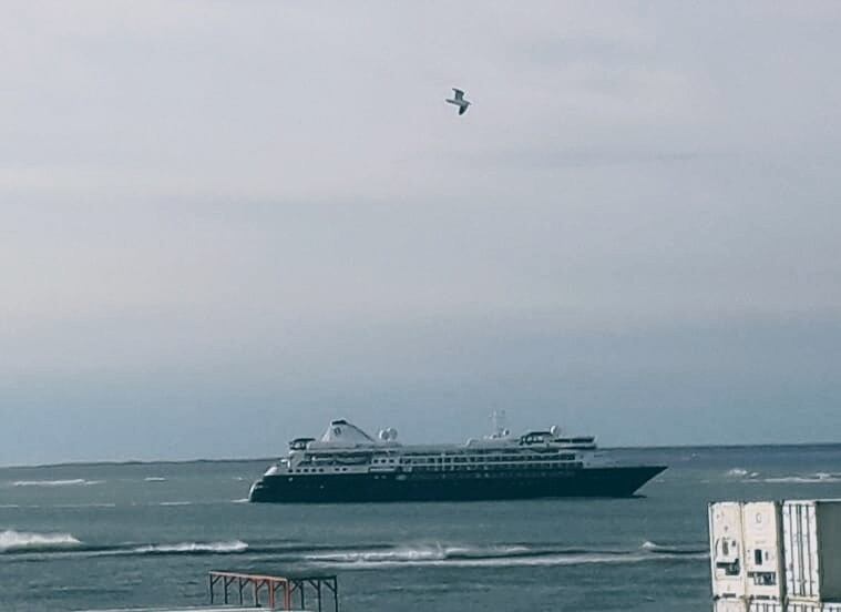 puerto deseado arribó el segundo crucero