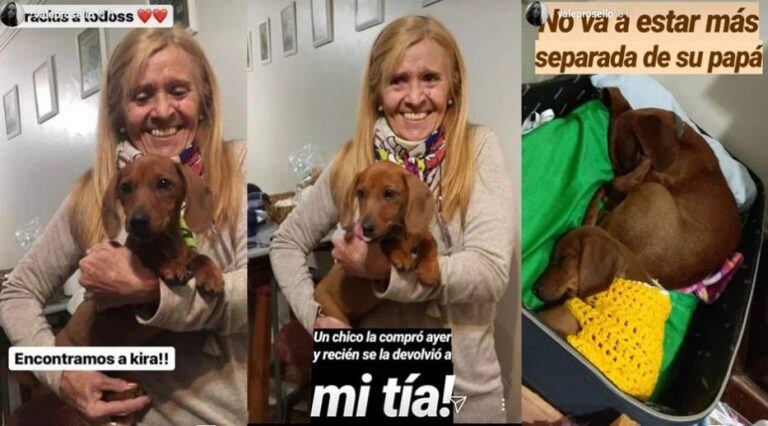 Apareció Kika, la perra salchicha que habían robado