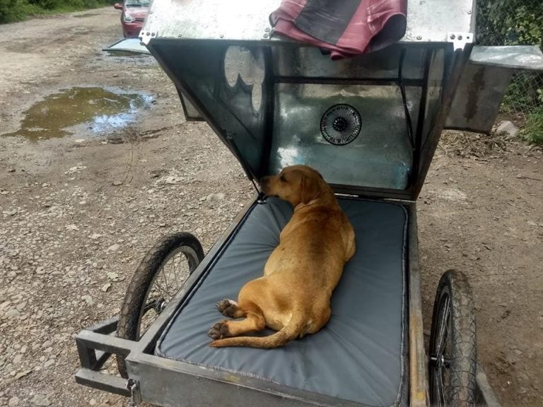 Motoambulancia para mascotas. (Facebook Sebastián Farfor)