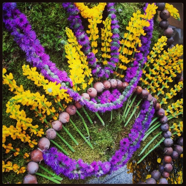 Fiesta de los Mayos en Galicia