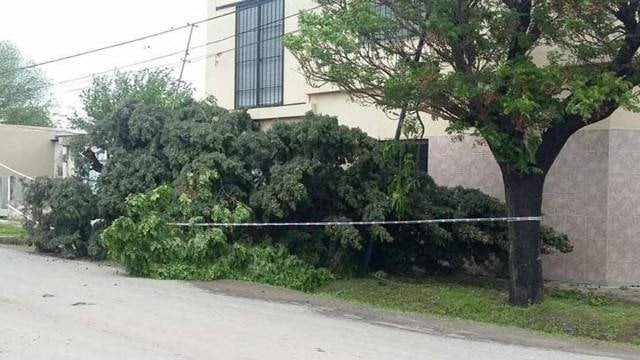 Destrozos por el temporal de viento