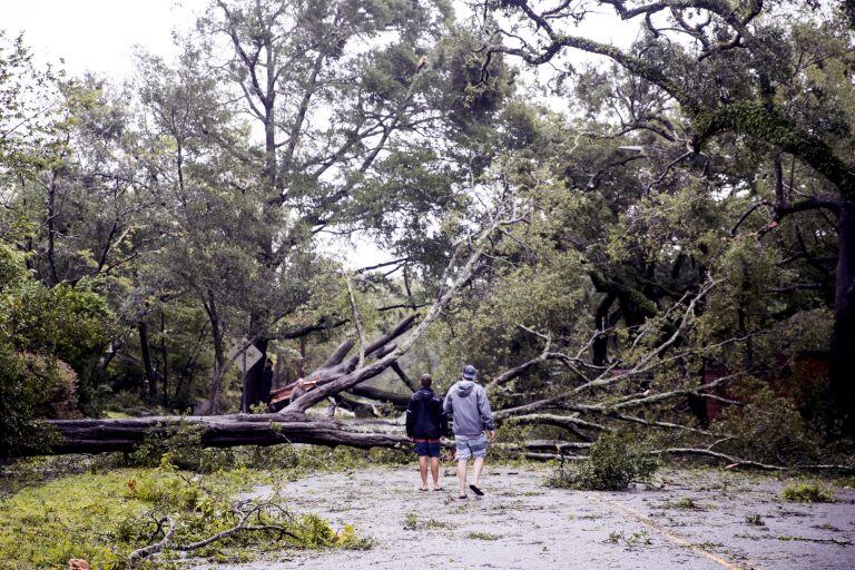 Calles anegadas por la caída de árboles. Foto: BLOOMBERG.